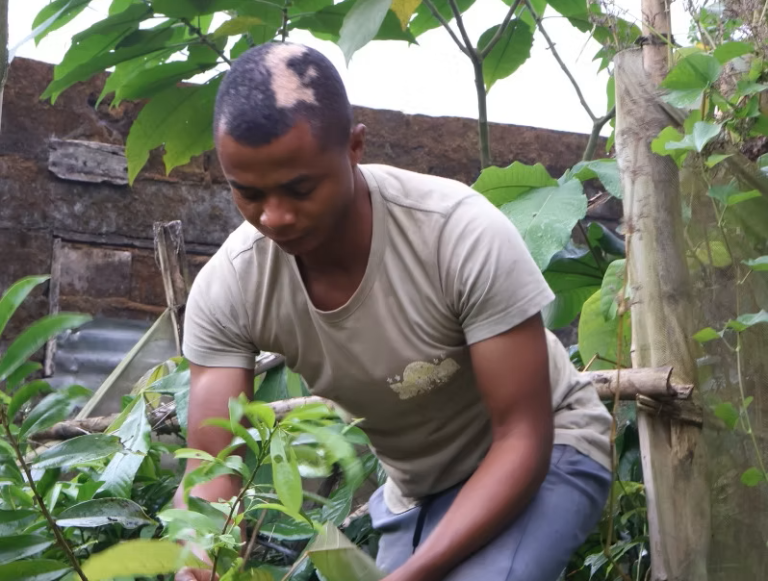 How can we create long-term resilience and abundance while responding to immediate humanitarian crises?