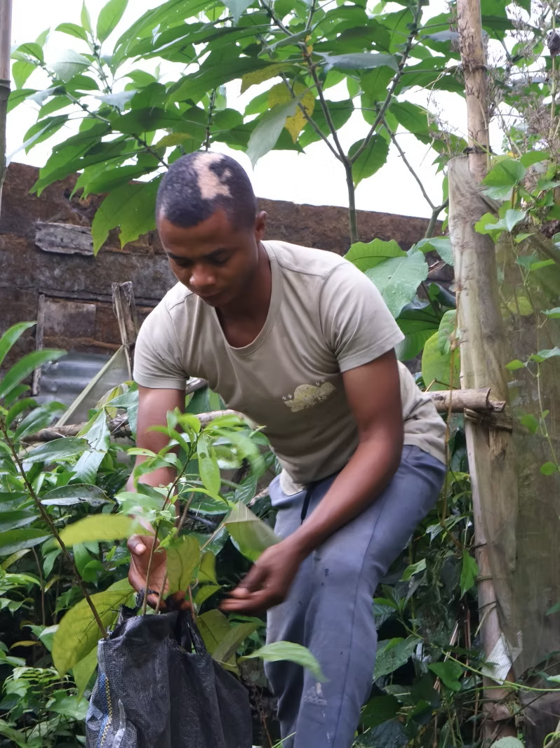A person in a light grey t-shirt and grey pants carefully tending to a young plant in a black plastic bag, surrounded by lush green foliage in an outdoor garden.